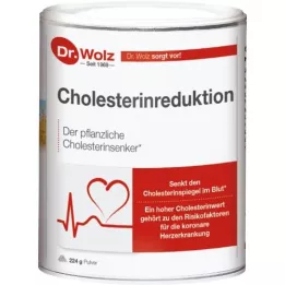 CHOLESTERINREDUKTION Dr.Wolz prášek, 224 g