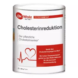 CHOLESTERINREDUKTION Dr.Wolz prášek, 224 g