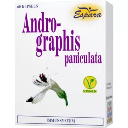 ANDROGRAPHIS paniculata kapsle, 60 ks
