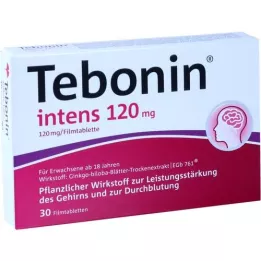 TEBONIN intenzivní 120 mg potahované tablety, 30 ks