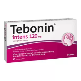 TEBONIN intenzivní 120 mg potahované tablety, 30 ks