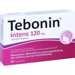 TEBONIN intenzivní 120 mg potahované tablety, 60 ks