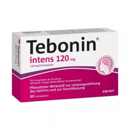 TEBONIN intenzivní 120 mg potahované tablety, 60 ks