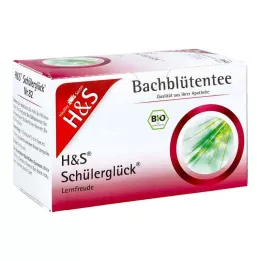 H&amp;S Bachovy květy Studentské štěstí Filtrační sáček čaje, 20X3,0 g