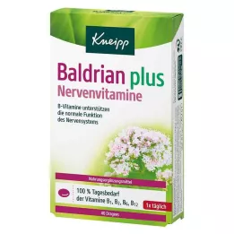 KNEIPP Kozlík lékařský plus nervové vitamíny dragées, 40 ks