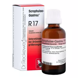 SCROPHULAE-Směs Gastreu R17, 50 ml