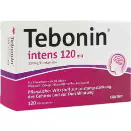 TEBONIN intenzivní 120 mg potahované tablety, 120 ks
