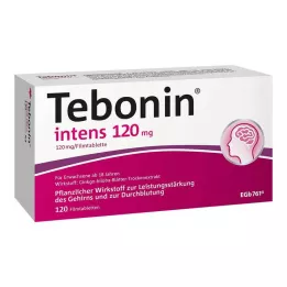 TEBONIN intenzivní 120 mg potahované tablety, 120 ks