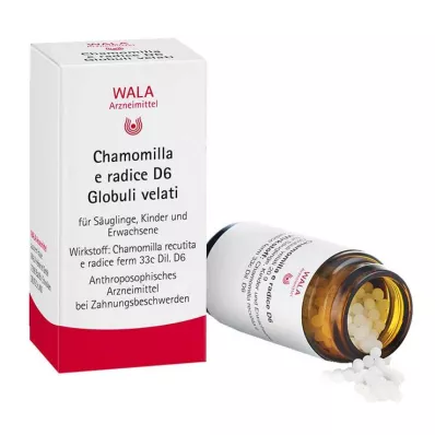 CHAMOMILLA E radice D 6 globulí, 20 g