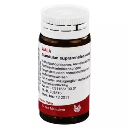 GLANDULAE SUPRARENALES komp.globule, 20 g