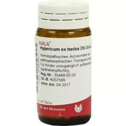 HYPERICUM EX Herba D 6 globulí, 20 g