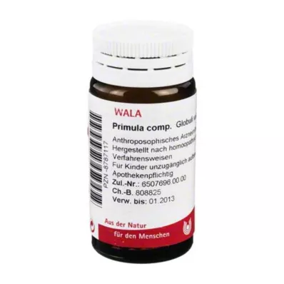 Primula komp.Globule, 20 g
