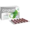 GINGIUM 40 mg potahované tablety, 120 kusů