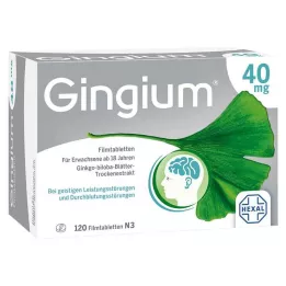 GINGIUM 40 mg potahované tablety, 120 kusů