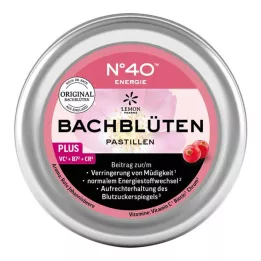 ENERGIE BACHBLÜTENPASTILLEN podle Dr.Bacha 50 g
