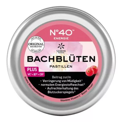 ENERGIE BACHBLÜTENPASTILLEN podle Dr.Bacha 50 g
