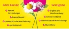 Instructions for use for Kamillan® liquid, 10 ml - 2