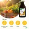 Multivitamínový energetický Salus, 500 ml