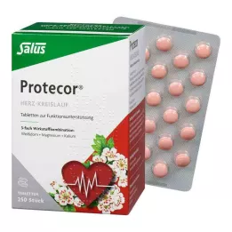 PROTECOR Kardiovaskulární Tabl.z.Funktionsunt.Salus, 250 ks