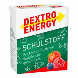 DEXTRO ENERGY Školní materiál Tablety lesní plody, 50 g
