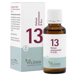 BIOCHEMIE Pluh 13 Potassium arsenicosum D 6 kapek, 30 ml