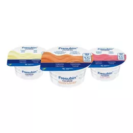 FRESUBIN YOcreme mixovaná krabička, 24X125 g