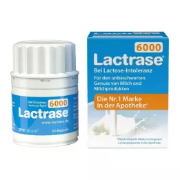 Lactrase 6 000 FCC kapslí, 60 ks