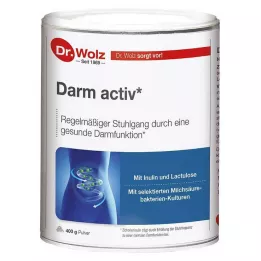 DARM ACTIV Dr.Wolz prášek, 400 g