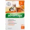 ADVANTAGE 40 mg roztok pro malé kočky/malé domácí králíky, 4X0,4 ml