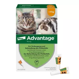 Advantage 40 pro malé kočky a okrasné králíky do 4 kg, 4X0,4 ml