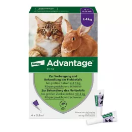 Advantage 80 pro velké kočky a okrasné králíky od 4 kg, 4X0,8 ml