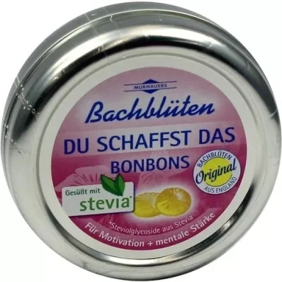 BACHBLÜTEN Murnauers Du schaffst das Bonbons, 50 g