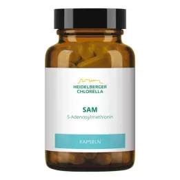 SAM S-ADENOSYLMETHIONIN Kapsle, 60 ks