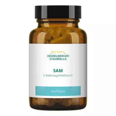 SAM S-ADENOSYLMETHIONIN Kapsle, 60 ks