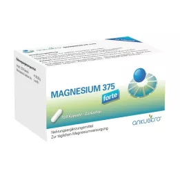 MAGNESIUM 375 forte kapslí, 120 ks