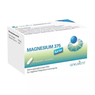 Magnesium 375 forte kapsle, 120 kusů