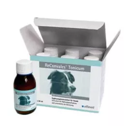 Reconvales Tonikum pro psy, 6X90 ml