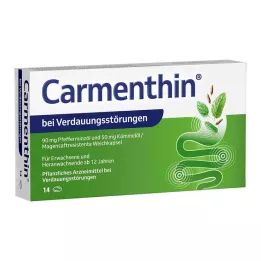 CARMENTHIN na zažívací potíže msr.soft caps., 14 ks