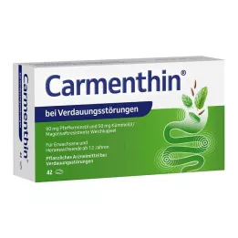 CARMENTHIN na zažívací potíže msr.soft caps., 42 ks