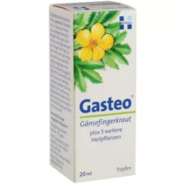 GASTEO Perorální kapky, 20 ml