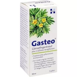 GASTEO Perorální kapky, 50 ml