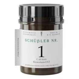 SCHÜSSLER NR.1 Calcium fluoratum D 12 tablet, 400 ks