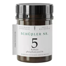 SCHÜSSLER Kalium phosphoricum D 6 tablet, 1000 ks