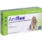 AMFLEE 134 mg spot-on roztok pro střední psy 10-20 kg, 3 ks