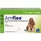 AMFLEE 134 mg spot-on roztok pro střední psy 10-20 kg, 3 ks