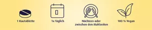 Instructions for use for Vitamín B12 500 µg pastilky, 180 tablet - 2