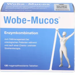 WOBE-MUCOS entericky potahované tablety, 120 ks