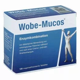 WOBE-MUCOS entericky potahované tablety, 120 ks