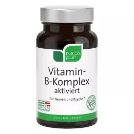 NICAPUR Vitamin B komplex aktivované kapsle, 60 ks
