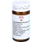 ARNICA/EPIPHYSIS/PLUMBUM globule comp.B, 20 g